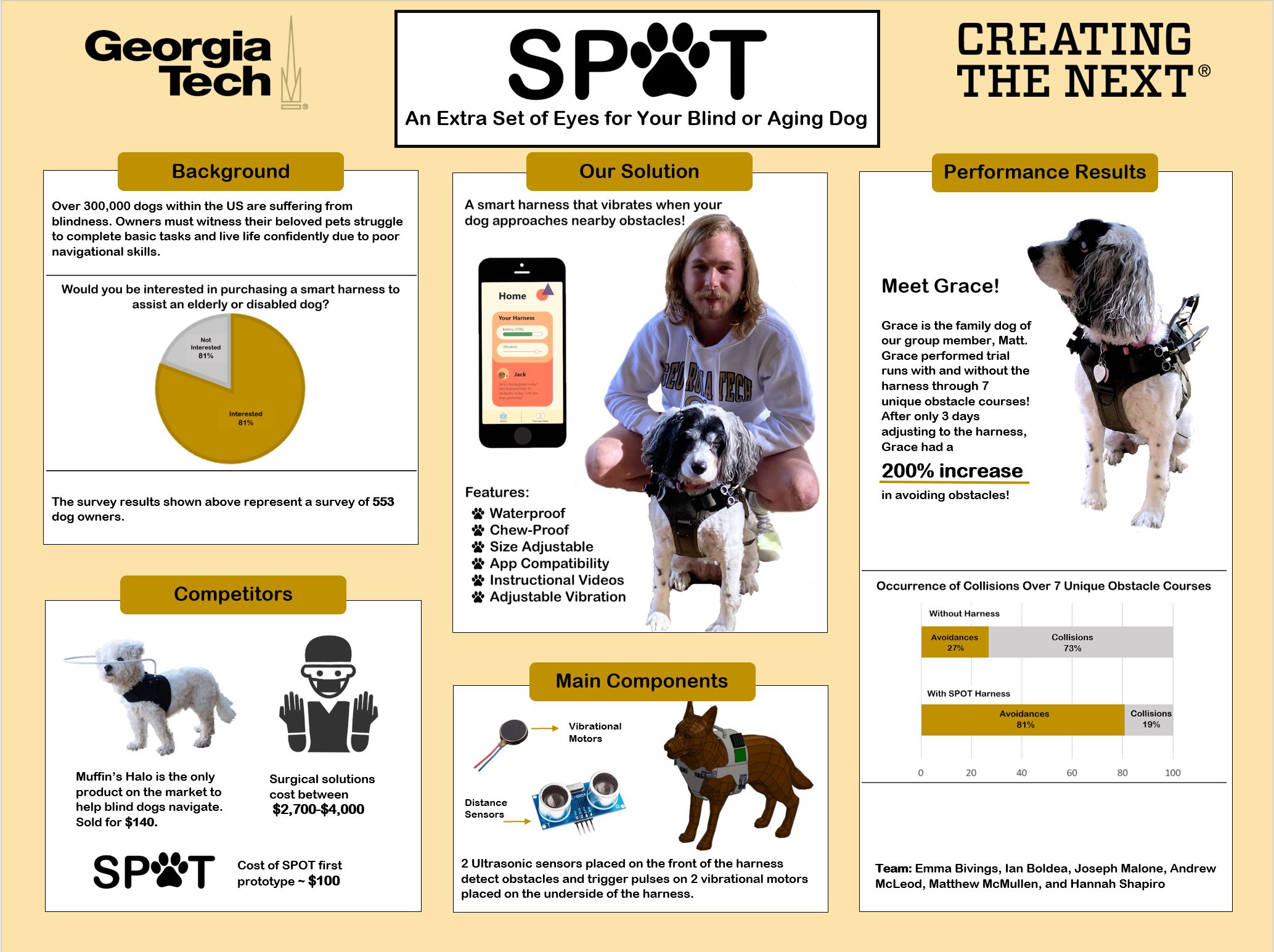 Capstone institute georgia picture